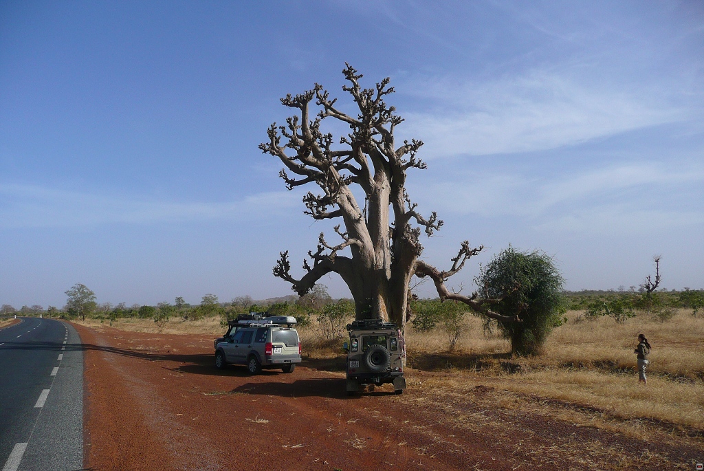 img00030.jpg
