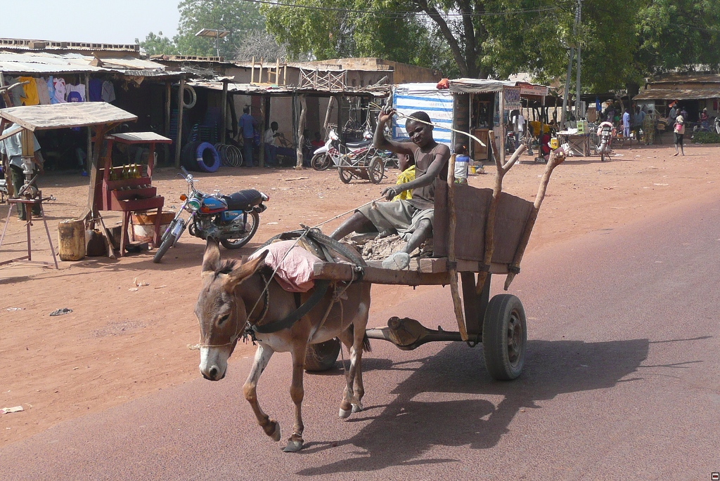 img00053.jpg