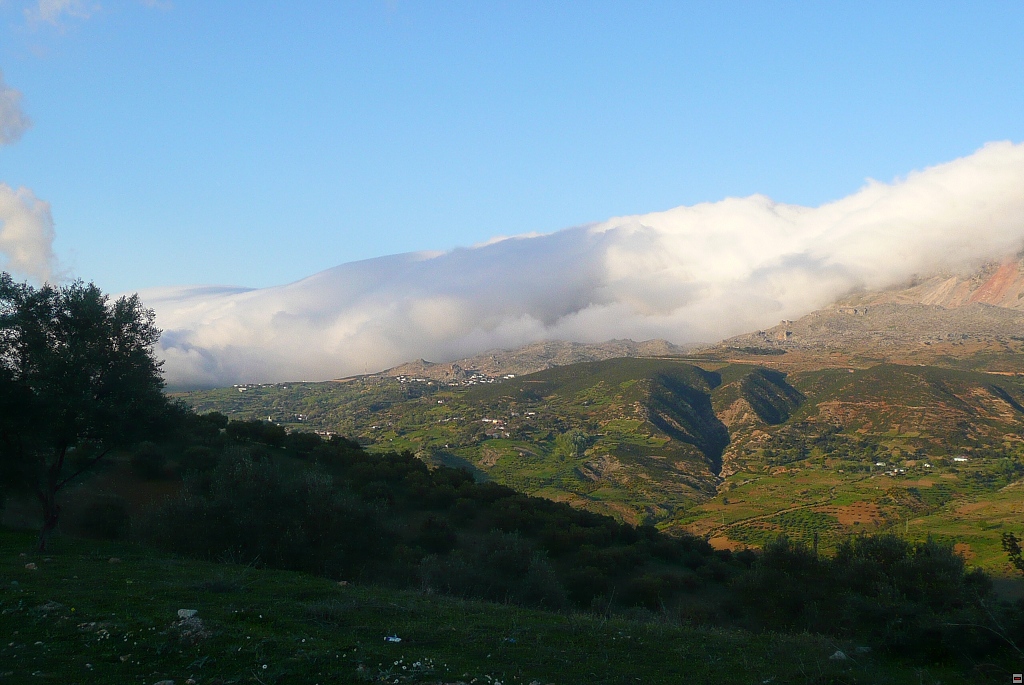 img00222.jpg