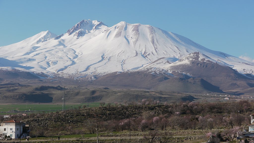 img00015.jpg