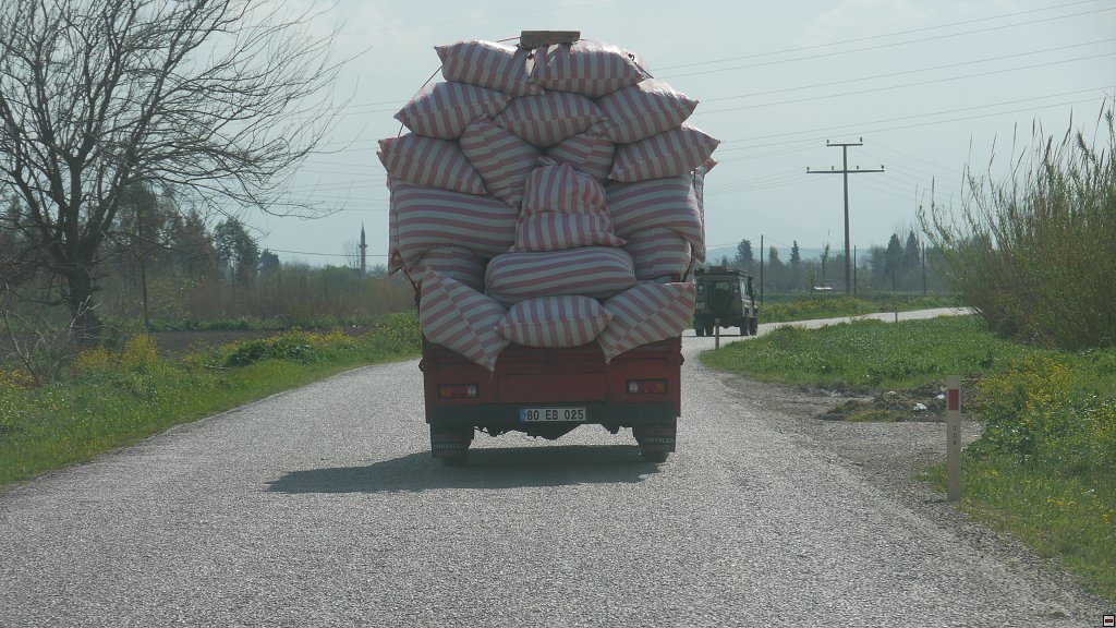 img00018.jpg