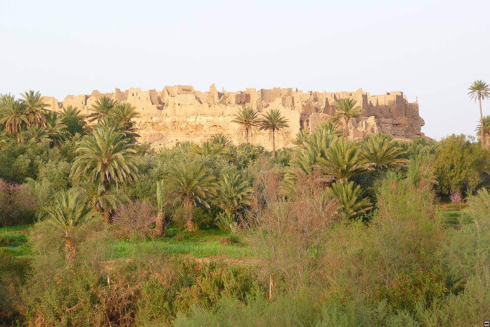 img00081.jpg