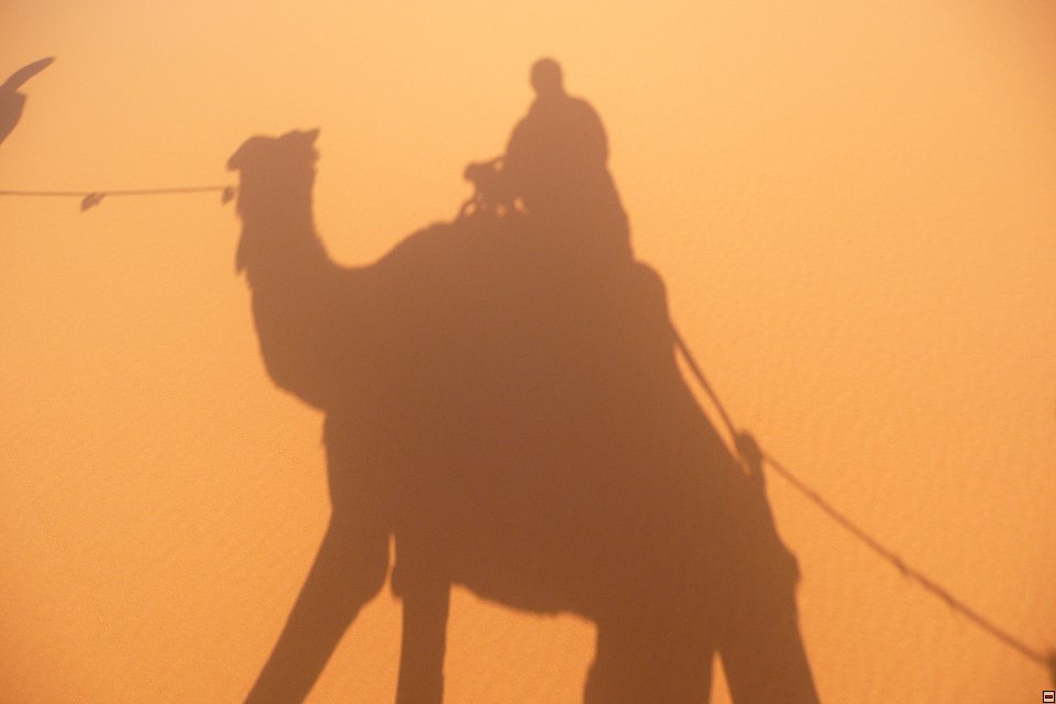 img00111.jpg