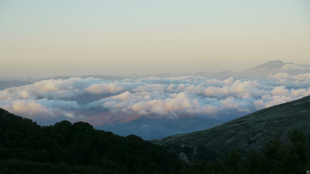 img00026.jpg